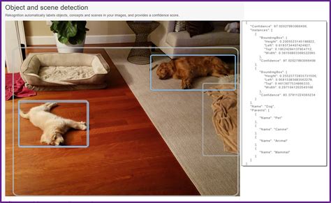 amazon web services rekognition image analysis tool   locate objects   photo