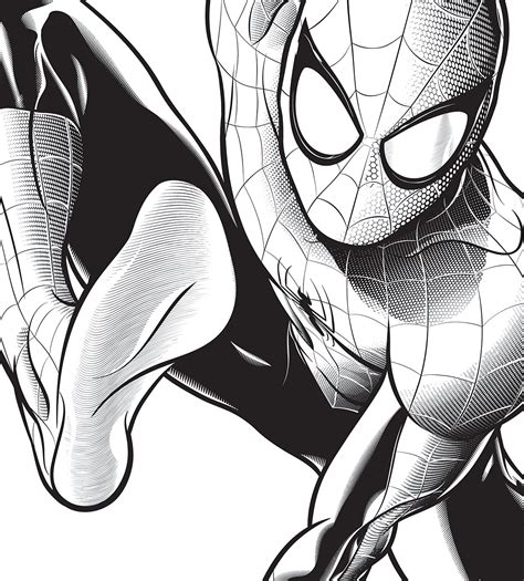 spiderman coloring large spiderman coloring picture