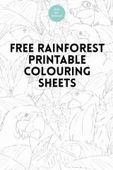 Colouring Rainforest Cartwright Craftwithcartwright sketch template