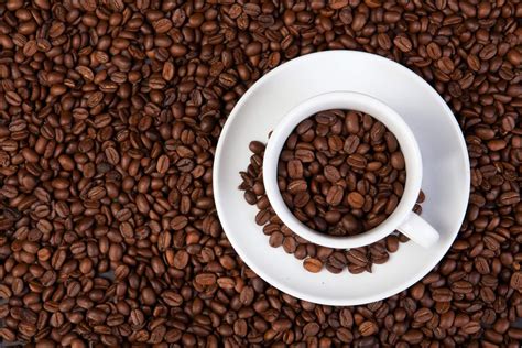 coffee beans top  brews  recommended  experts study finds