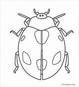 Coloring Ladybug Coloringbay sketch template