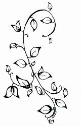 Vine Vines Drawing Rose Drawings Flower Easy Draw Flowers Ivy Getdrawings Paintingvalley sketch template