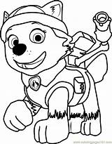 Patrol Paw Everest Pups Contento Skye Tracker Zuma Coloringpages101 Coloringpagesonly sketch template