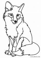 Fuchs Ausmalbilder Ausdrucken Kostenlos Malvorlagen Fuchse sketch template