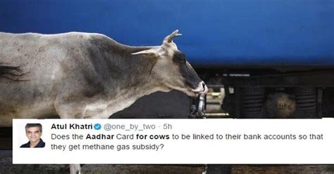 holy cow soon indian cows will have their own aadhaar