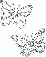 Colorir Borboleta Desenhos Borboletas Butterflies Mariposas Bigactivities Papillons Mariposa Papillon Insects Schmetterling Modelos Molde Educação Monica Mur Soloinfantil sketch template