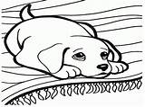 Dog Coloring Funny Pages Printable Getcolorings Color Animals Cute sketch template