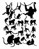 Monkey Mono Silueta Affe Singe Sagoma Scimmia Macaco Silhouet Vektoren Silhouettes Vectorified Peludo Caminando Piedra Silhueta Siluetter Katt Svart Tecknad sketch template