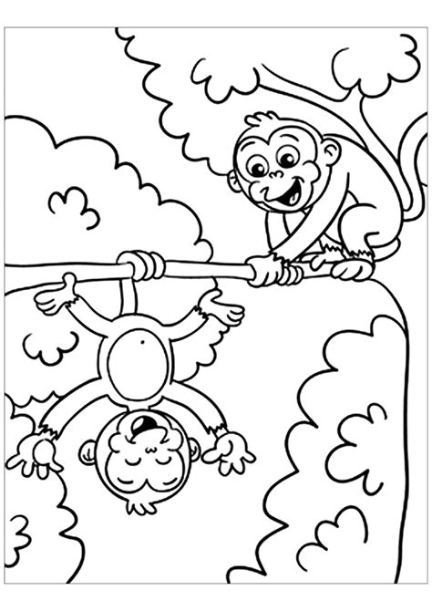 monkey drawing  print  color monkeys kids coloring pages