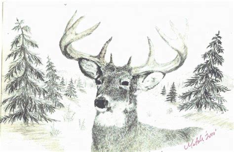 deer  pencil winter time drawing projects beginner wood burning pattern pyrography patterns