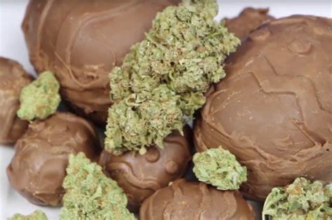 cannabis easter eggs on sale for £3 as shocolatiers cash in on the legalisation daily star