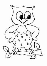 Hibou Coloriage Pages Tootsie Hugo sketch template