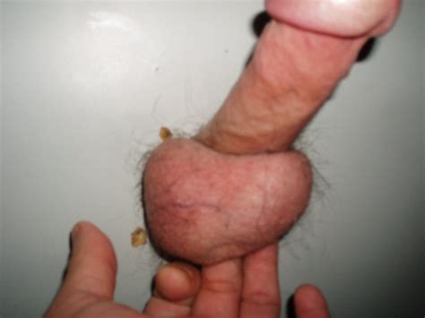 licking cum off balls xxx sex images