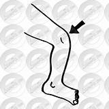 Knee Outline Clipart Watermark Register Remove Login Therapy sketch template