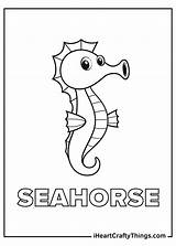 Seahorse Coastline Spiny Snouted sketch template