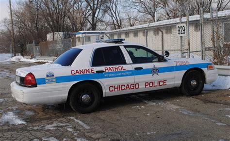 canine unit chicagocopcom
