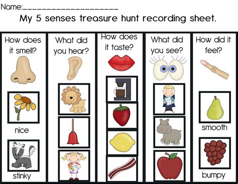 activities   senses  kids learning printable