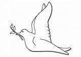 Coloring Dove Peace Popular sketch template
