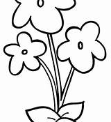 Violet Flower Coloring Pages Printable Getcolorings Color sketch template