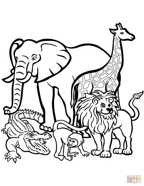 draw samples  coloring pages zoo animals easy drawing