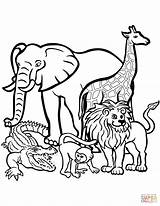 Coloring Animals Pages African Printable sketch template