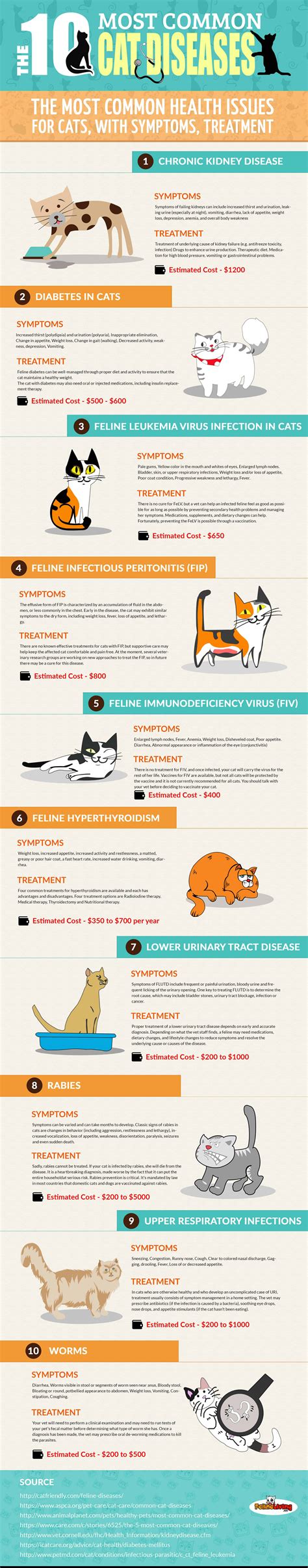 common diseases  cats