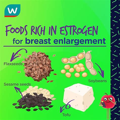 Foods For Breast Enlargement Watsons Indonesia