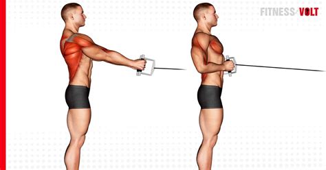 cable standing row exercise guide  fitness volt