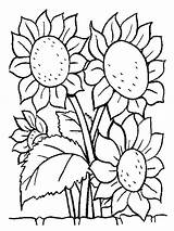 Zonnebloemen Leukekleurplaten sketch template