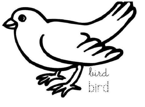 bird coloring pages  preschool bird coloring pages coloring pages