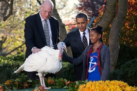 presidential pardoning of turkeys a thanksgiving tradition past its