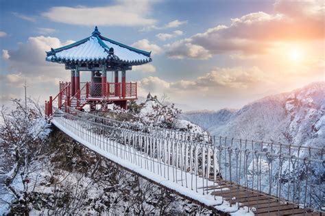 ways  stay warm  winter  korea seoul searching