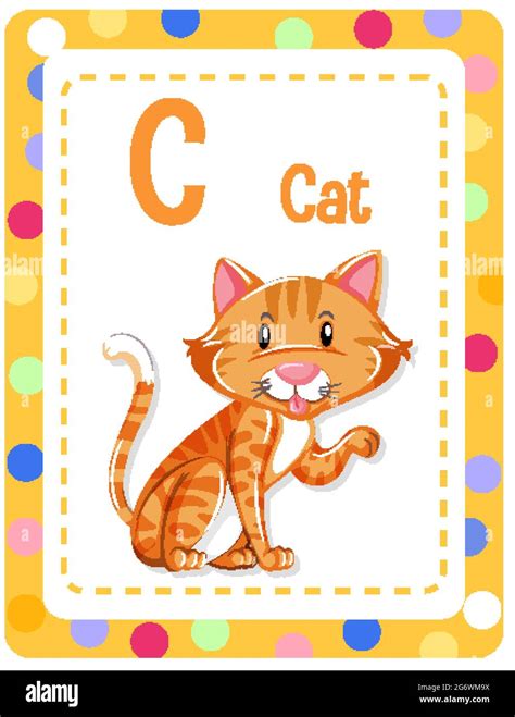 alphabet flashcard  letter   cat illustration stock vector