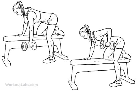 One Arm Dumbbell Row Illustrated Exercise Guide Workoutlabs