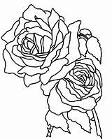 Coloring Roses Pages Rose Flower Two Single Printable Drawing Skull Realistic Stem Cross Mandala Long Bunch Color Flowers Skulls Getcolorings sketch template