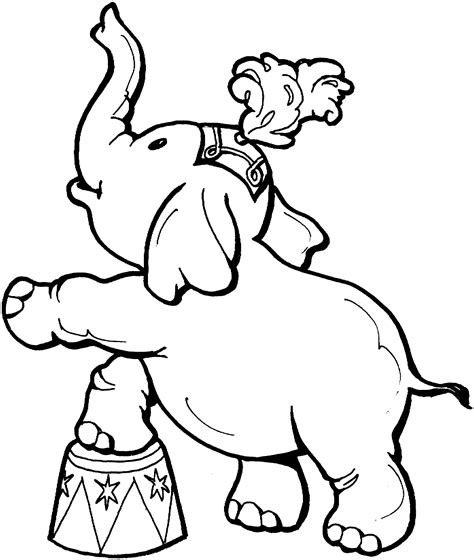 circus animals  colouring pages