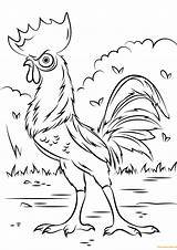 Heihei Rooster Moana Disney Pages Coloring Color sketch template