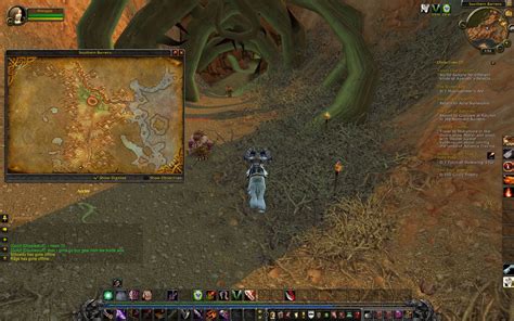 Random Wow How To S Razorfen Kraul Entrance Southern