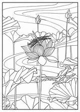 Lotus Coloriages Mizu Vegetazione Flor Loto Colorear Erwachsene Adulti Vegetation Danse Indienne Malbuch Fur Justcolor Adulte Adultes Enfants Savage Nggallery sketch template