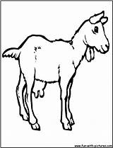 Goat Coloring Pages Farm Colouring Fun Animals sketch template