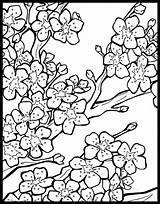 Coloring Cherry Blossom Chinese Pages Tree Flower Lantern Print Japanese Lanterns Colouring Printable Blossoms Sheets Festival Book Adult Pattern Color sketch template