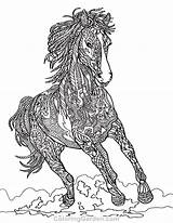 Coloringgarden Horses sketch template
