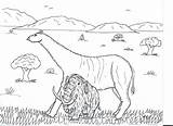 Indricotherium Mammoth Woolly Comparison Coloring Robin Pages Great Drawn Together sketch template