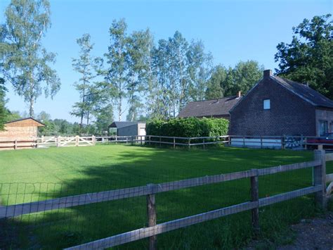 te huur  belgie boerderij met paardenstallen en weiland boktnl