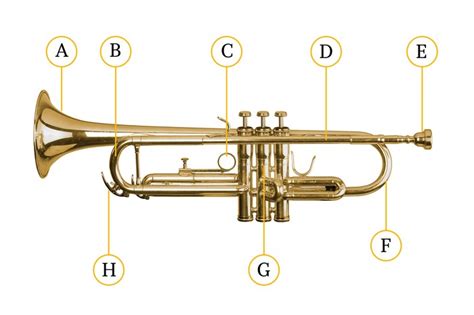 trumpet guide        brass instrument classical