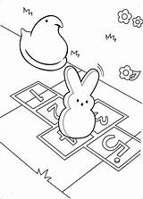 Peeps Coloring Pages Bunny Chick Print Printable Hopscotch Playing sketch template