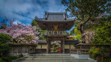 japanese tea garden garden review conde nast traveler
