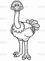Coloring Pages Ostrich Kids Printable sketch template