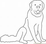 Coloring Dog Pages Coloringpages101 sketch template