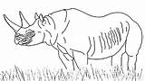 Coloring Grassland Animals Pages sketch template